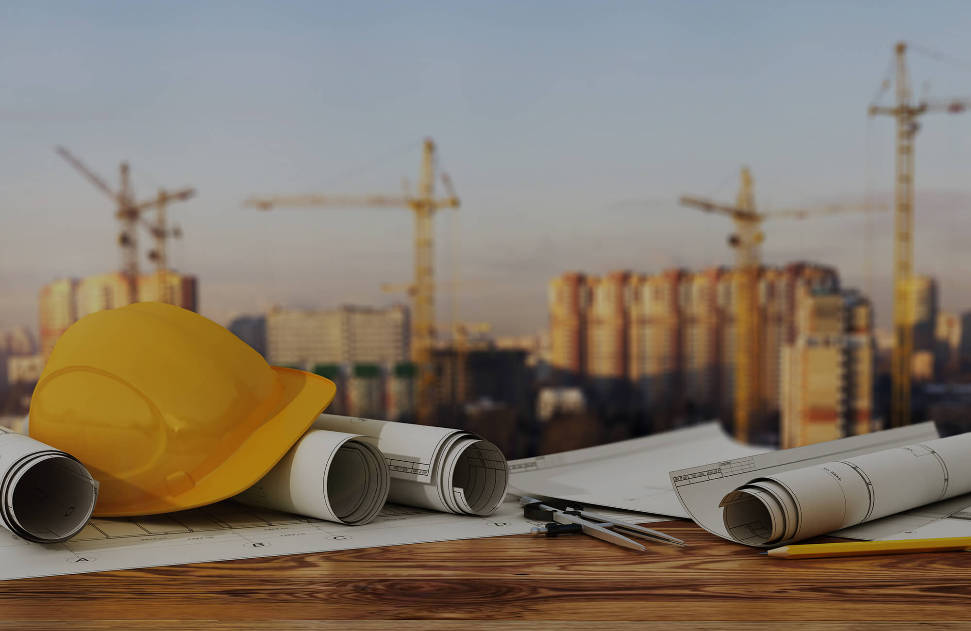 Winntus Team in India